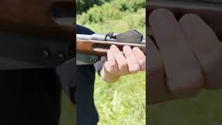 Mannlicher M1888 Old Straight Pull Rifle shorts asmr gun foryou history hunting gaming [upl. by Lennor43]