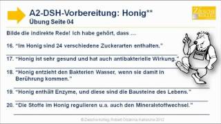 A2DSHVorbereitung indirekte Rede Übung 04 Honig statt Indu [upl. by Learsiy]