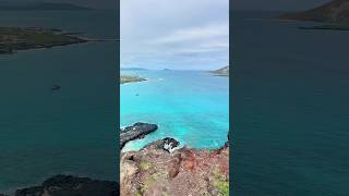 Makapuu’s Melody Where Land Meets Sea [upl. by Valaree]