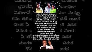 Chilaka yethodu lekha song lyrics 💔💔💔japathibabu amani spb roja [upl. by Ainuj]