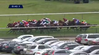 Revivez le QNB Prix de lAbbaye de Longchamp 2014 [upl. by Cathey]