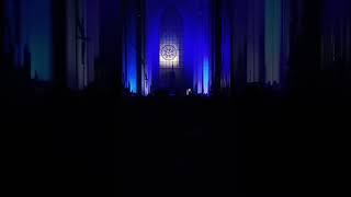 20241019 Alan Stivell  Église NotreDame de Laeken [upl. by Amiarom604]