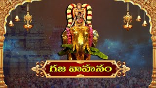 🔴LIVE  Gaja Vahanam  Tirumala Tirupati Sri Venkateshwara Swamy Bramostavalu  2024 [upl. by Wallis412]