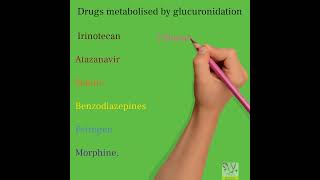 Drugs metabolized by glucuronidation neetpreparation neetpg pharmacy pharmacology [upl. by Legin335]