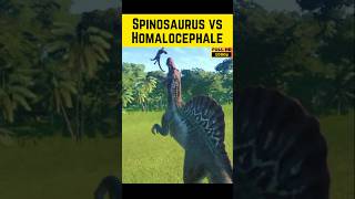 Who wins Suchomimus Polacanthus Homalocephale Indoraptor Spinosaurus Stegoceratops [upl. by Ojadnama86]