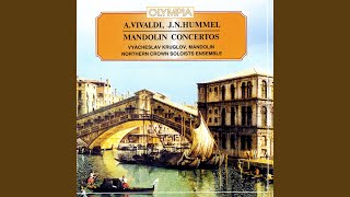 AVivaldiConcerto for 2 Mandolins and Strings G major  RV 532 IAllegro [upl. by Attikin]