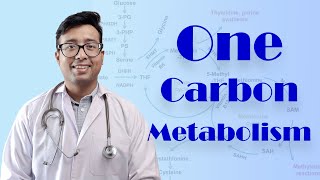 One Carbon Metabolism made easy for Medicos [upl. by Johen]