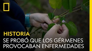 Así se probó que los gérmenes provocaban enfermedades  NATIONAL GEOGRAPHIC ESPAÑA [upl. by Aun]