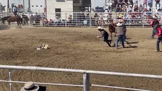 Day two Second race Kyle Saskatchewan Wild Horse Race 2022 [upl. by Nine653]