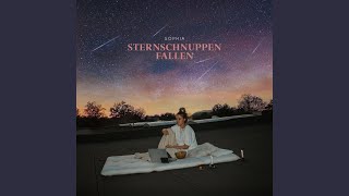 Sternschnuppen fallen [upl. by Ittak]