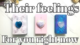 Their Current Thoughts and Feelings for You❤️‍🔥💘❤️🥰🥹😘 pick a card Love tarot reading [upl. by Staci]