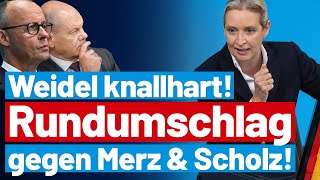 Merz stinksauer Alice Weidel rechnet knallhart mit der CDU ab  AfDFraktion im Bundestag [upl. by Leahey779]