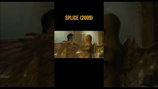 SPLICE 2009 ❤️Scene 56 movie movieclips shorts [upl. by Anayik]