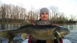 Petenwell Dam Walleyes 41115 [upl. by Etteneg]