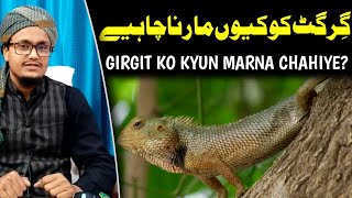 Girgit ko kyu marna chahiye   Mufti A M Qasmi [upl. by Hestia487]