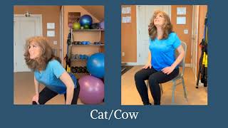 Michelle Rogers Exercise Cat Cow [upl. by Johppa186]