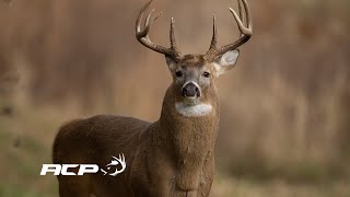 Sépaq Anticosti  Chasse aux chevreuils secteur Galiote [upl. by Anillek]