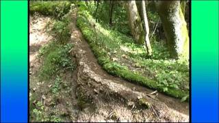 Naturwunder Steinerne Rinne bei Rohrbach [upl. by Enilarak]