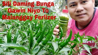 Malunggay Fertilizer Fermented Plant Juice Home Make [upl. by Cawley]