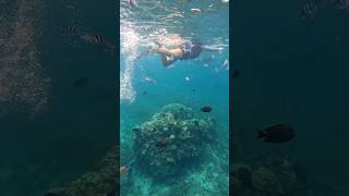 Snorkeling in Bali [upl. by Maidy]