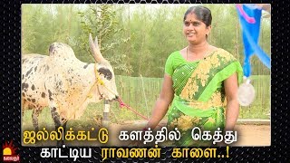 Jallikattu களத்தில் கெத்து காட்டிய ராவணன் காளை Epi 119  Kannadi  Kalaignar TV [upl. by Mcgee293]