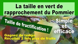 Taille en vert de rapprochement du pommier délice dor [upl. by Ecile670]