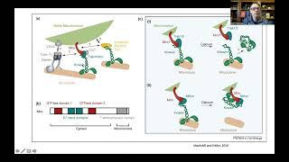 Bioenergetics and Brain Health 2 Mitochondrial Dynamics Biogenesis Disposal and Signaling [upl. by Letta999]