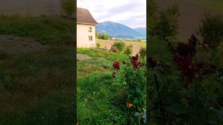 Beautiful Backyard Of My Parents InLaw In Gommiswald Switzerland [upl. by Kalina]