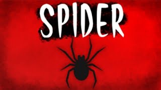 The spider is chasing me Roblox spider game [upl. by Anitsirhk80]