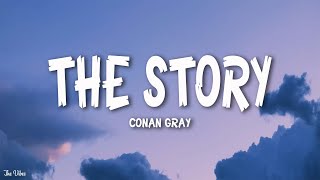 Conan Gray  The Story Lyrics [upl. by Erreipnaej431]