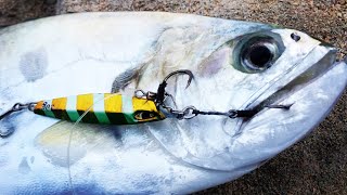 Another fishing day on jetty rocks  shore jigging ultra light fishing [upl. by Lledyl]