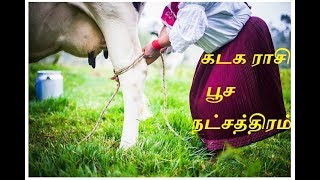 கடக ராசி பூச நட்சத்திரம்  Kadaga Rasi Poosam Natchatram [upl. by Ennoid87]