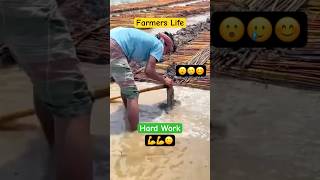 Incredible Hard Work  Farmers Life  Best Jute Retting Techniques shorts farming farmlife [upl. by Attevroc450]