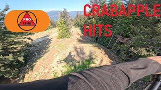 Crabapple Hits  Whistler Bike Park Encyclopedia 2024 [upl. by Leopoldine298]