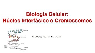 Biologia Celular 08 Núcleo Interfásico e Cromossomos [upl. by Nasah]