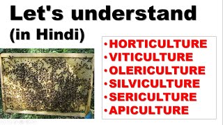 Difference bw HORTICULTURE VITICULTURE OLERICULTURE SILVICULTURE SERICULTURE amp APICULTURE [upl. by Cran]