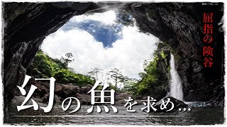 【幻のアマゴを求め】山脈屈指の地獄のような谷を行く…！【渓流釣り】 [upl. by Conte]