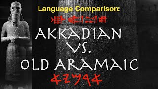 Akkadian vs Old Aramaic  A Comparison of Semitic Languages Using the Tell Fekheriyeh Inscription [upl. by Sewellyn]