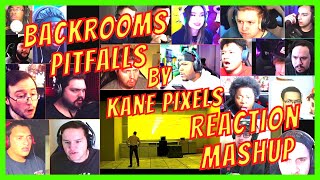 BACKROOMS PITFALLS  REACTION MASHUP  KANE PIXELS  ACTION REACTION [upl. by Calhoun]