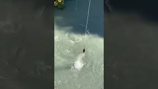 CRAZIEST Bungee Jump Ever 😂 bunggeejump [upl. by Chitkara]