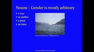 Jump Start Brazilian Portuguese  Lesson 8  Gender Number and Agreement [upl. by Lanita]