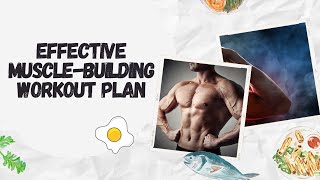 How to Create an Effective MuscleBuilding Workout Plan [upl. by Dorman]