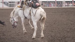 Rodeos baddest bucking horse C5 Rodeos Virgil [upl. by Findley]