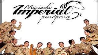 El Perdedor Mariachi Imperial Purepero [upl. by Magna]