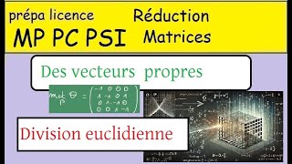 Elements propres des endomorphismes une division euclidienne et ses vecteurs propres [upl. by Noryak]