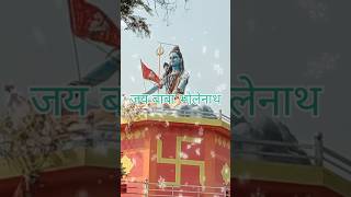 बाबा भोलेनाथ तेरे मंदिर में एक अजब नजारा देखा है🌹 ✅shorts [upl. by Naujaj813]