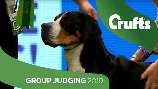 Working Group Judging And Presentation  Crufts 2019 [upl. by Clynes]