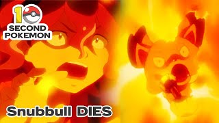 Snubbull Dies [upl. by Eelyab962]