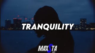 FREE Northsidebenji Type Beat  quotTranquilityquot [upl. by Stockwell52]