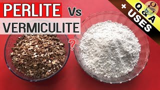 PERLITE vs VERMICULITE IN GARDEN SOIL  Benefits and Difference Between Perlite and Vermiculite [upl. by Enelia]